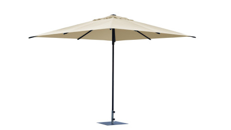 Parasol Art 456Q Trend