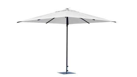 Parasol Art 456Q Trend