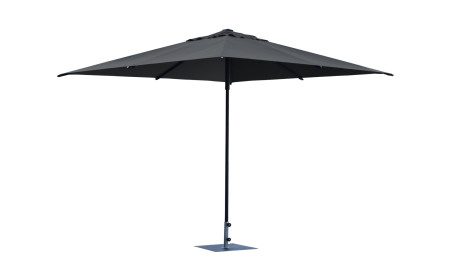 Parasol Art 456Q Trend