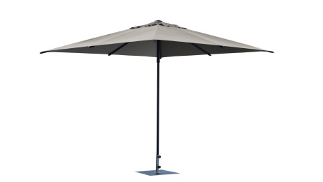 Parasol Art 456Q Trend