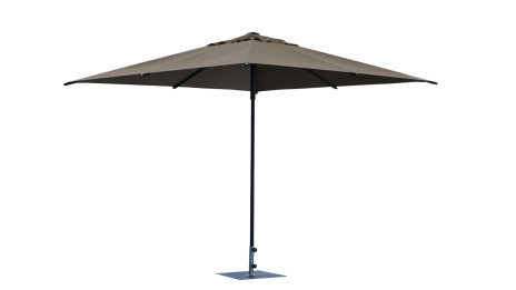 Parasol Art 456Q Trend